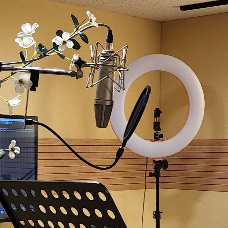 mic.jpg