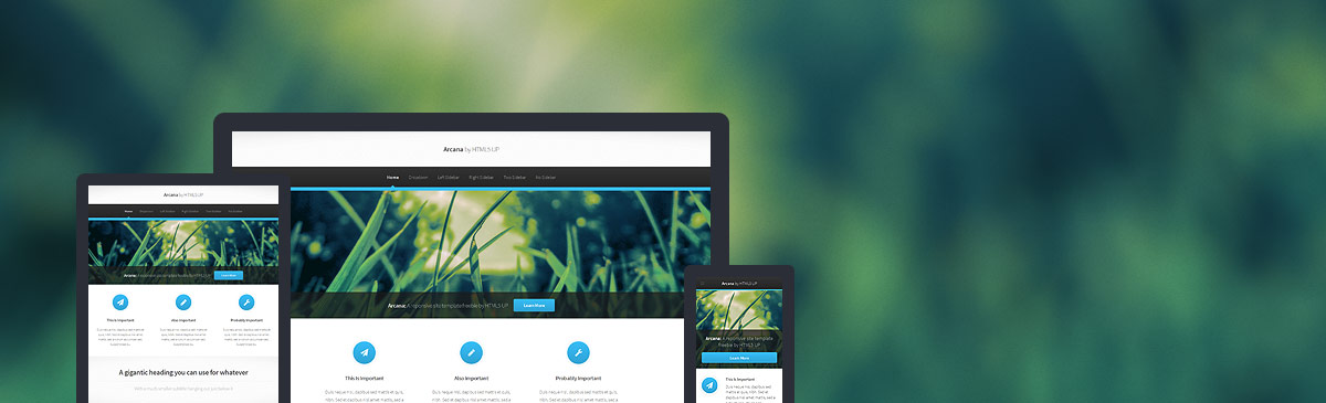 XNS 레이아웃 - HTML5 UP Arcana