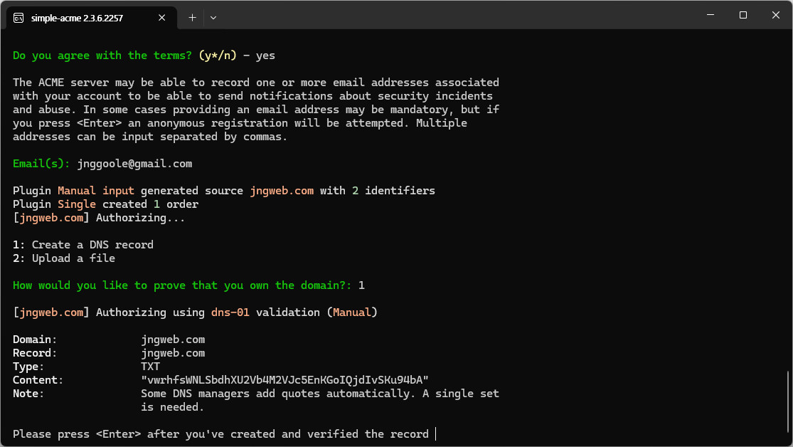 dns.jpg