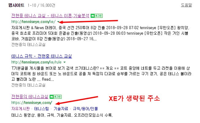 site_tenniseye.com _ 네이버 웹사이트검색.png