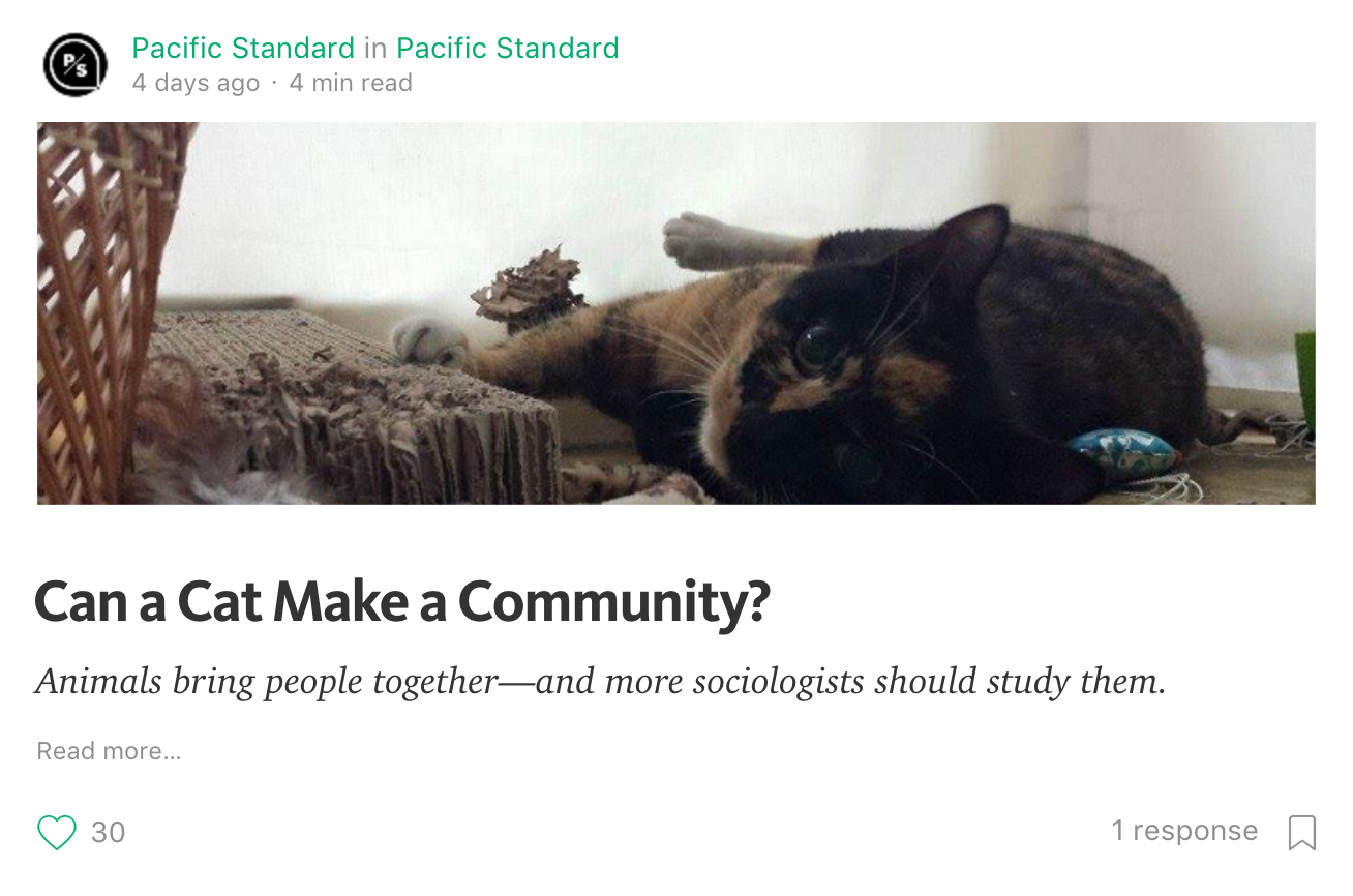 스크린샷 2017-01-02 오후 3.11.13.png