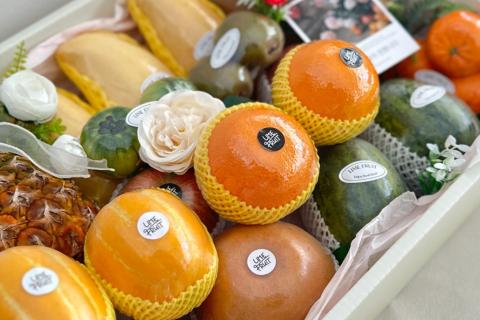 라이믹스 독립몰 쇼핑몰제작